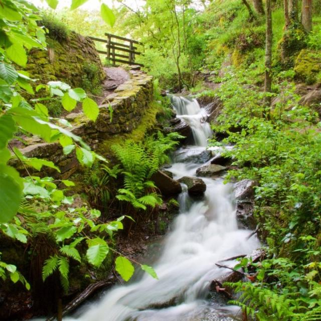 Brocéliande et ses légendes