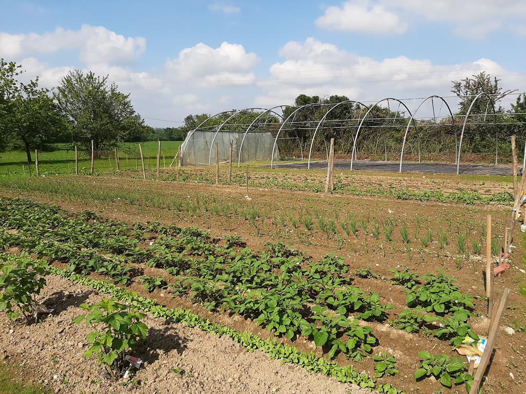 Le potager d’Yvonne