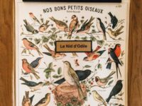 gite pipriac nid d'odile