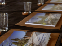 Capture d’écran 2026-02-27 153124